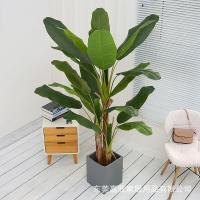 uploads/erp/collection/images/Home Garden/dgjiawang/XU0612854/img_b/XU0612854_img_b_2